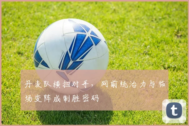 丹麦队横扫对手,网前统治力与临场变阵成制胜密码 - 球天下体育推荐