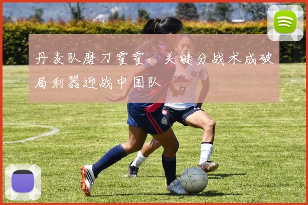 丹麦队磨刀霍霍，关键分战术成破局利器迎战中国队 - 球天下体育推荐