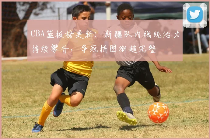 CBA篮板榜更新：新疆队内线统治力持续攀升，争冠拼图渐趋完整 - 球天下体育推荐